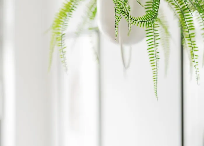 Design Loft Im Souterrain In Lage Διαμέρισμα *