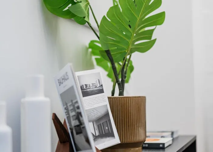 Design Loft Im Souterrain In Lage Διαμέρισμα